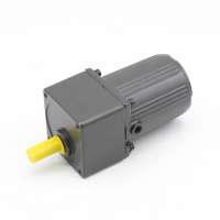 Cheap 10w 25w 40w high torque low speed brush electric DC gear motor